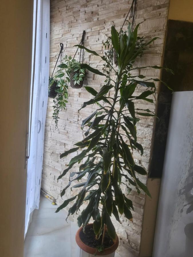 Casa Hanna2 Intra Zewnętrze zdjęcie